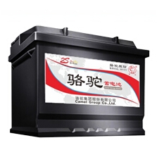 1S免維護鉛酸電池